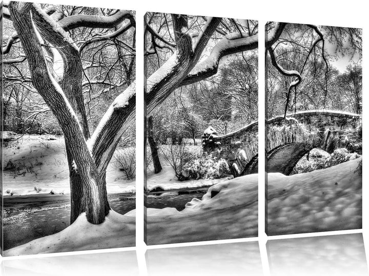 Pixxprint Central Park New York als Leinwandbild/Grösse: 3 Teilig (120x80) cm/Wandbild/Kunstdruck/fe