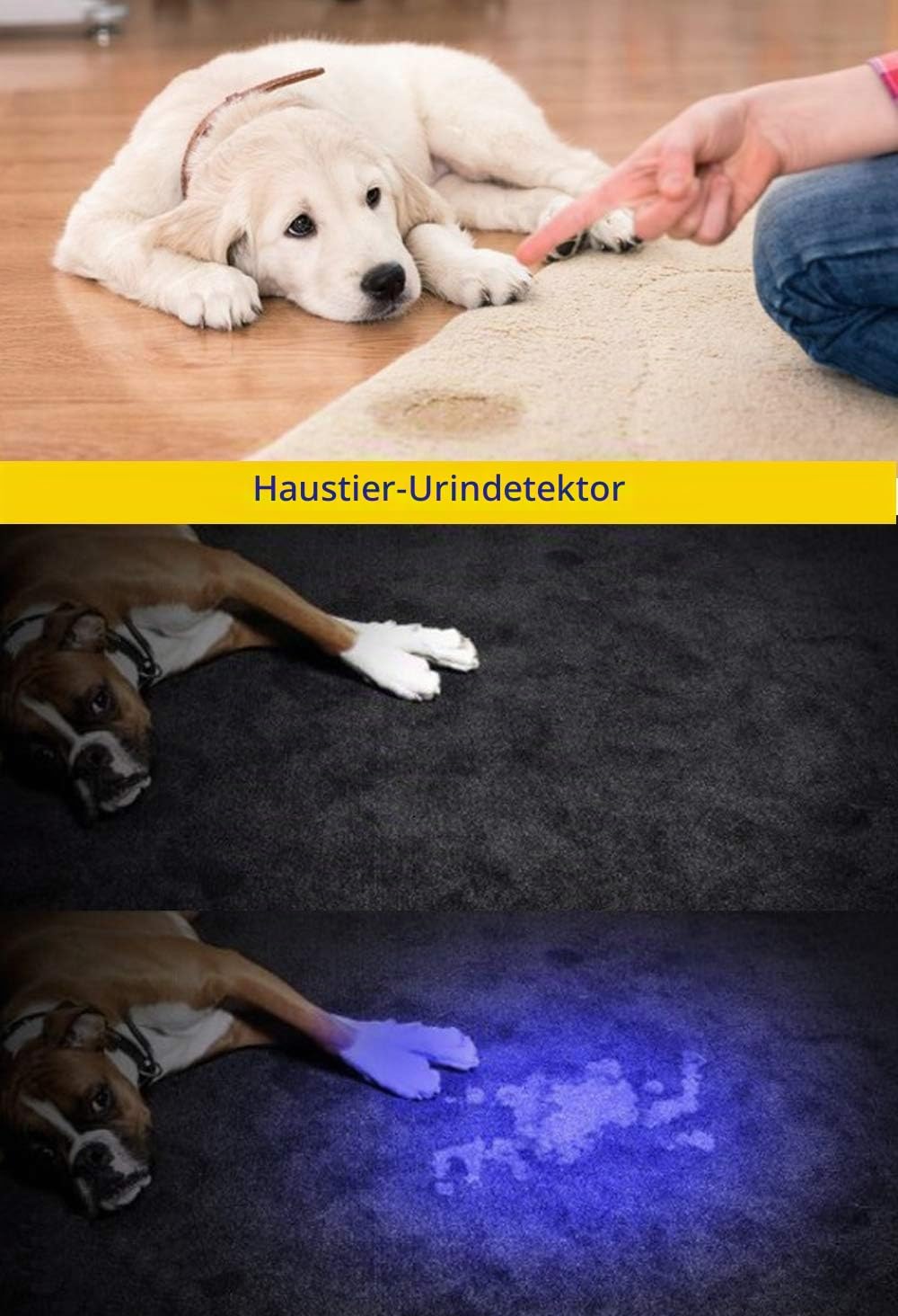 DARKBEAM Taschenlampe Doppeltes UV Licht 365nm &amp; 395nm Wiederaufladbare, Woodsche Lampe Schwarzlicht