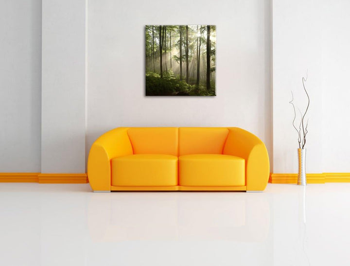 Sonnenstrahlen im Wald, Format: 70x70 auf Leinwand, XXL riesige Bilder fertig gerahmt mit Keilrahmen