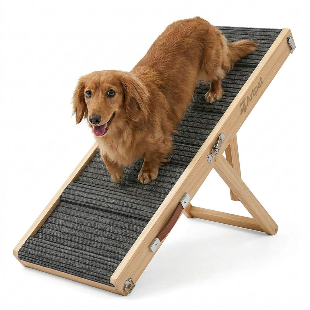 Artpet Hunderampe für Sofa Bett Klappbar Rampe Klappbar für kleine Hunde Katzen Einstellbar 34-53 cm