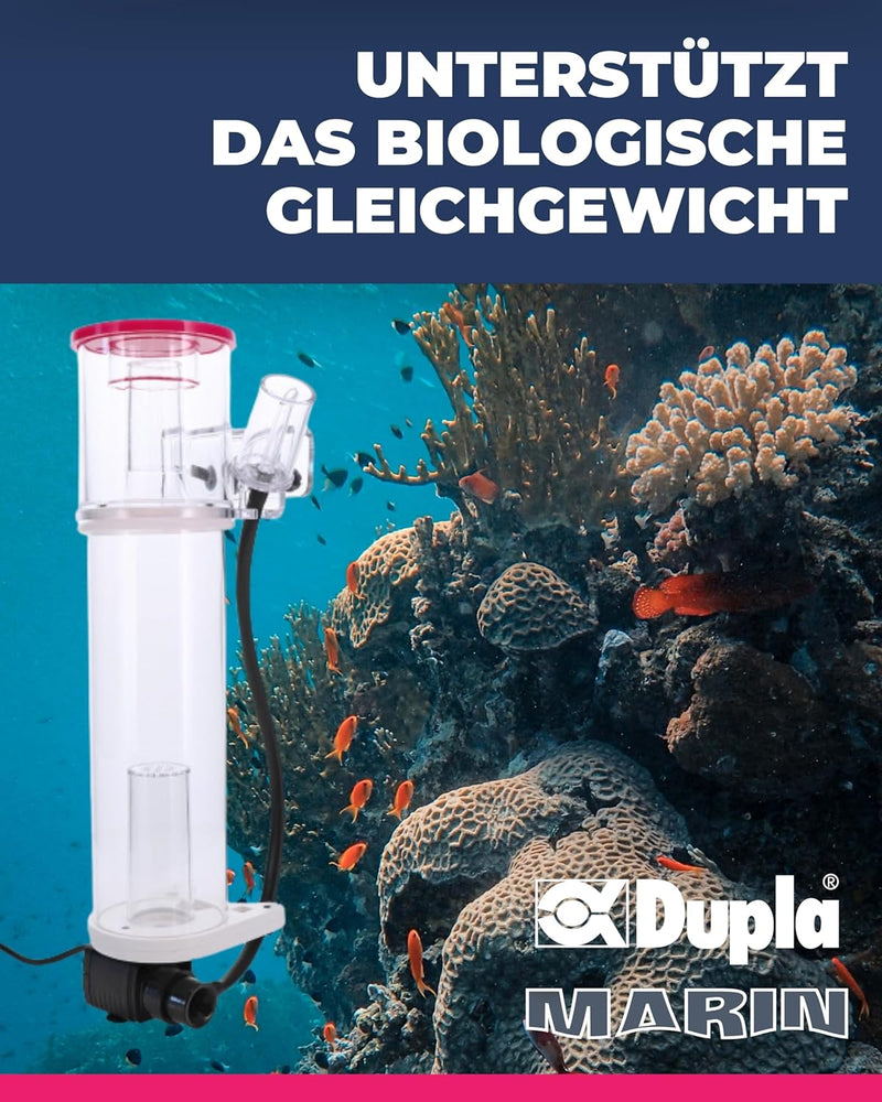 Dupla Marin Cube Skimmer 120 Eiweissabschäumer für Meerwasseraquarien (inklusive Controller)