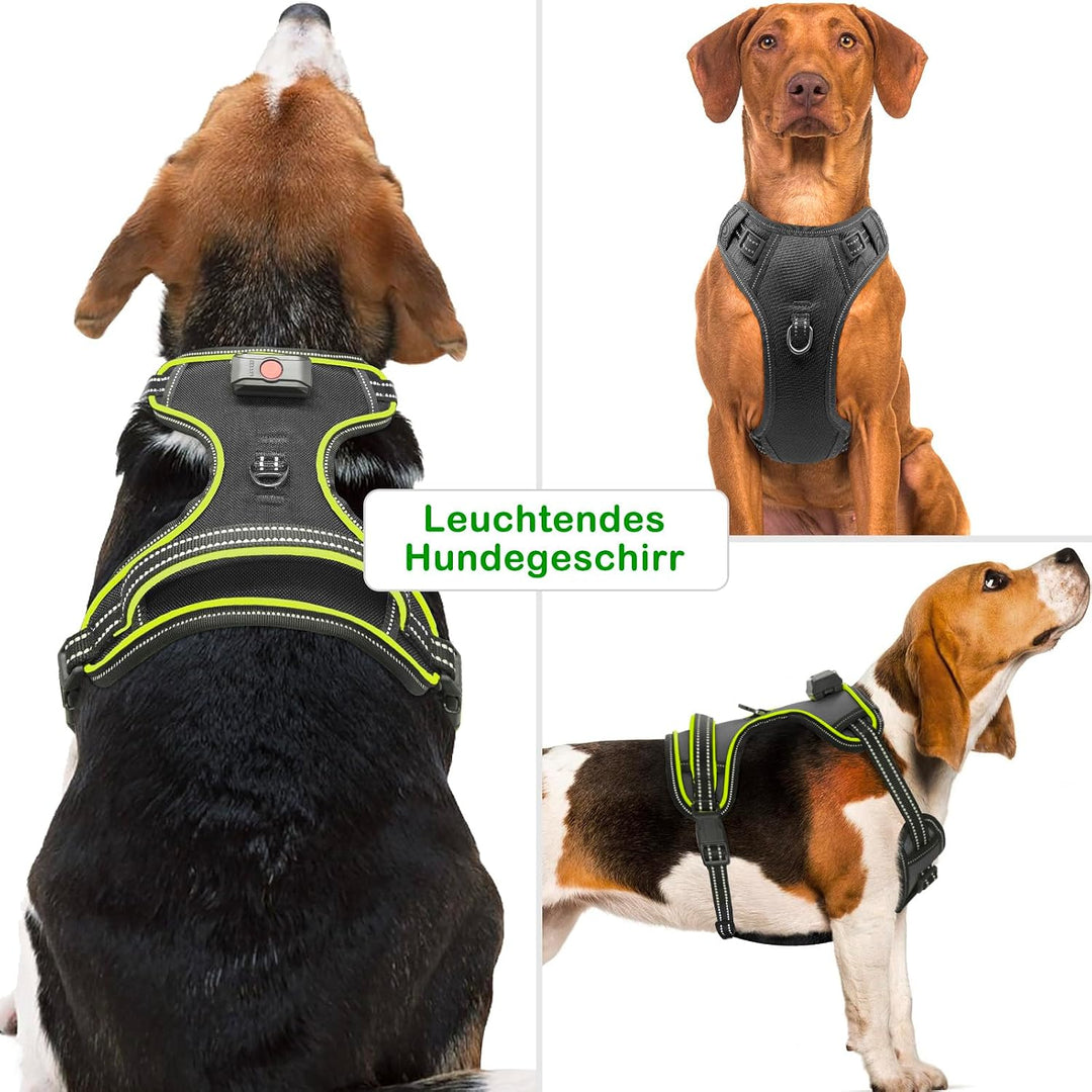 Hundegeschirr Leuchtend Wiederaufladbares Leuchtgeschirr für Hunde Led Beleuchtetes Hundegeschirr fü