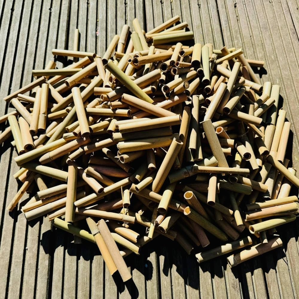 DARLUX 1000 x Baumbusröhrchen I Nisthilfe für Wildbienen I Insektenhotel Füllmaterial 6 und 8 mm Ø I