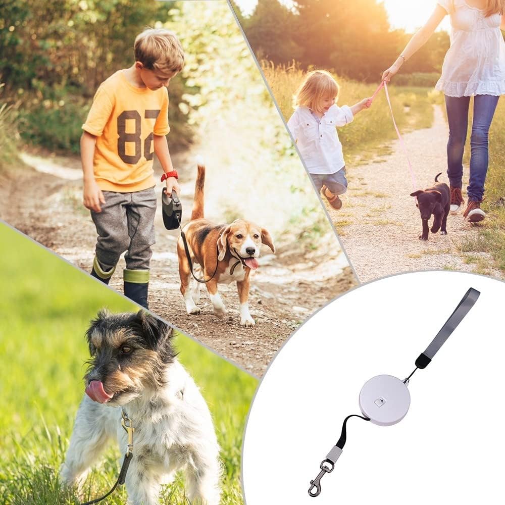 3m/9.8ft Hundeleine, Einziehbare Kleine Hunde Rollleine, Tragbar Automatische Dog Leash für Kleine H