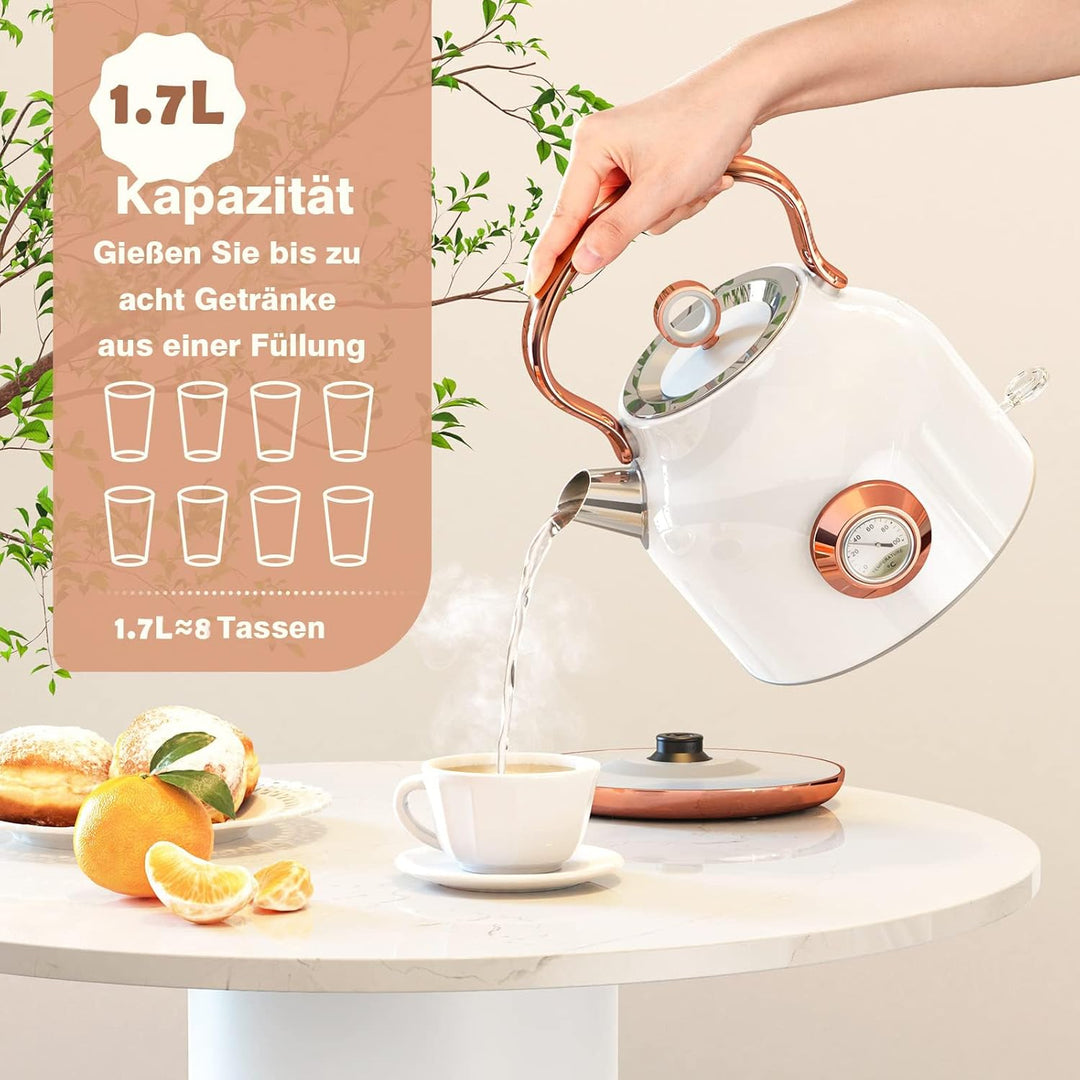 NESSGRAIM Retro Wasserkocher, 1,7 l Edelstahl-Teekessel mit Grosser Temperaturanzeige, 2200W Schnell