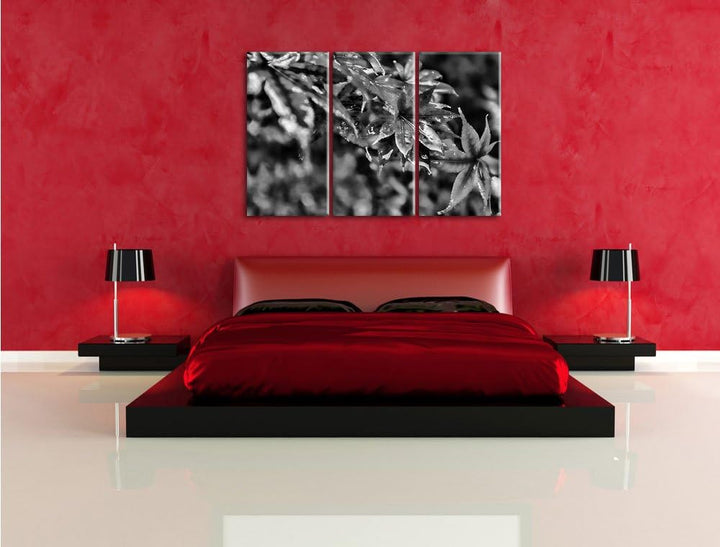 Pixxprint Ahorn im Sonnenlicht als Leinwandbild/Grösse: 3 Teilig (120x80) cm/Wandbild/Kunstdruck/fer