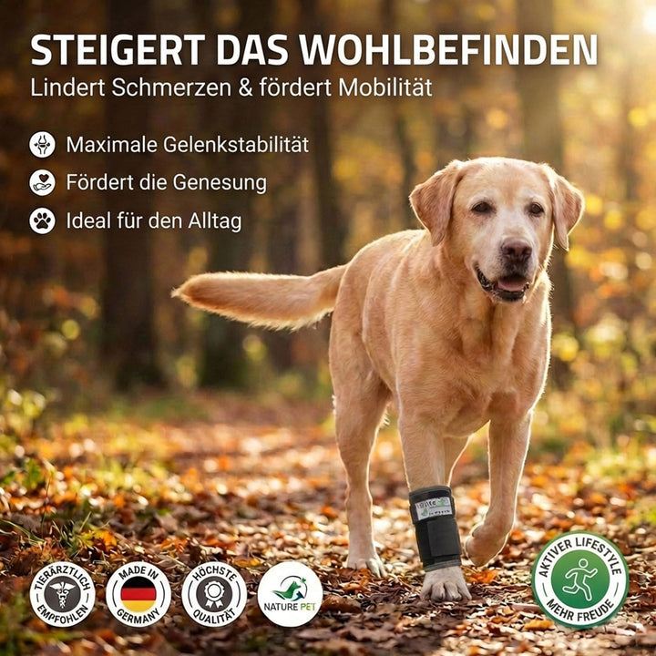 Nature Pet CarpoLock Premium Karpalgelenk Bandage Groesse M, M