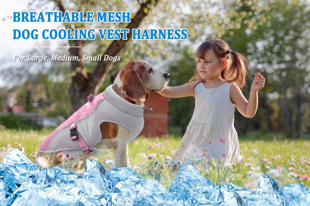 Sommer Hund Kühlweste Geschirr Atmungsaktive Mesh Hund Kühler Jacke Kühle Bequeme Hundemantel Einste