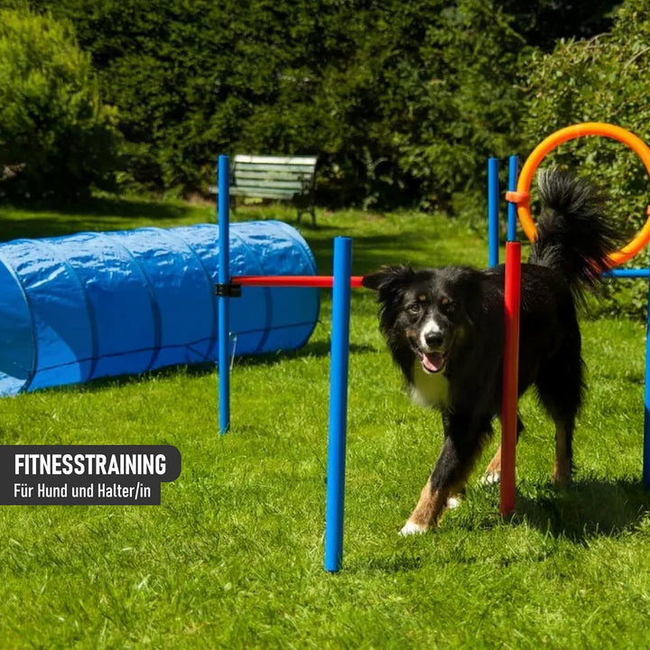 NATIV LEMODO Agility Set Hunde | Hundetraining mit Agility Hürde, Hundetunnel und Sprungring | Einfa