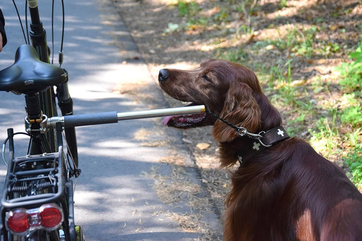 dobar® 62000 Walky Dog Plus Hunde Fahrradleine - Abstandhalter aus Edelstahl - Fahrradhalter mit Dre