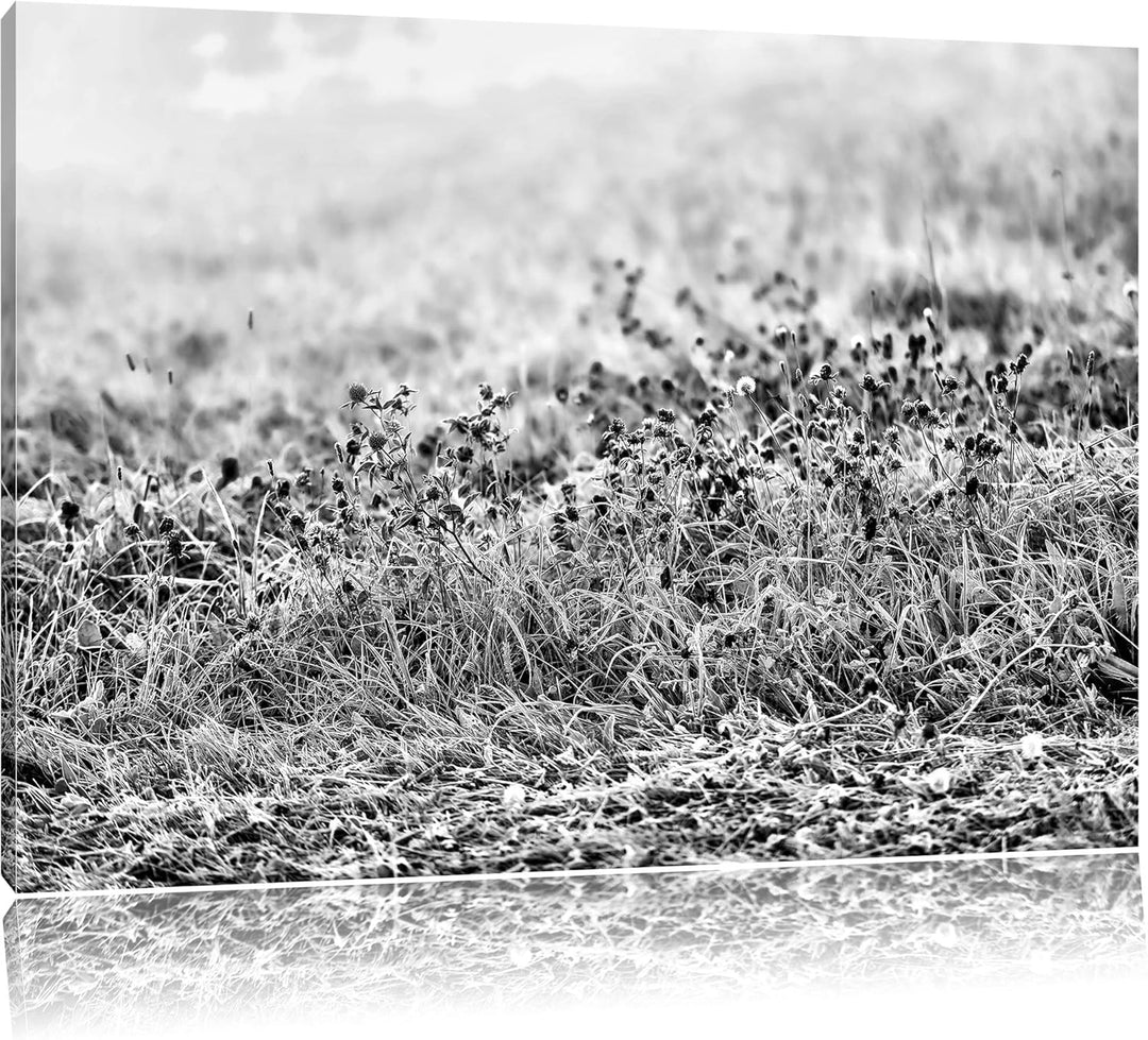 Pixxprint Lila Distel Feld im Retro Look als Leinwandbild | Grösse: 100x70 cm | Wandbild | Kunstdruc