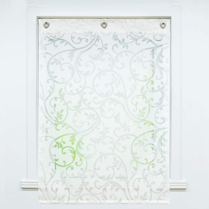 Joyswahl Voile Ösenrollo Transparenter Raffrollo Ausbrenner Raffgardinen »Jessica« Schals Fenster Ga