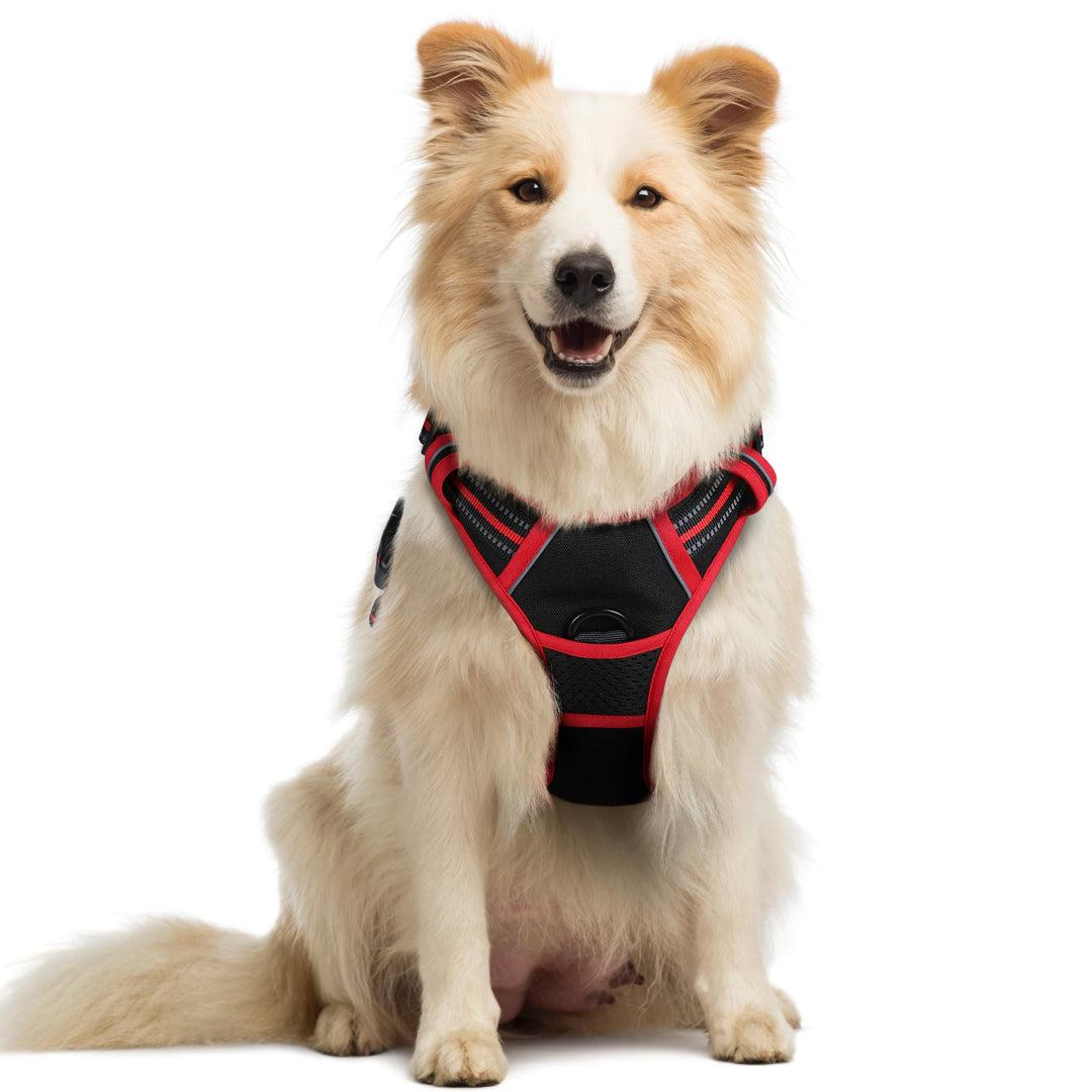 rabbitgoo Hundegeschirr Mittelgrosse Hunde, Anti Zug Geschirr mit Kontrolle, No Pull Verstellbar Hun