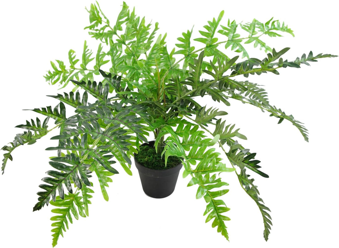 Leaf Farnpflanze, immergrün LEAF-7145 50cm Luxury fern 50cm Luxury Fern 50cm Luxury Fern, 50cm Luxur