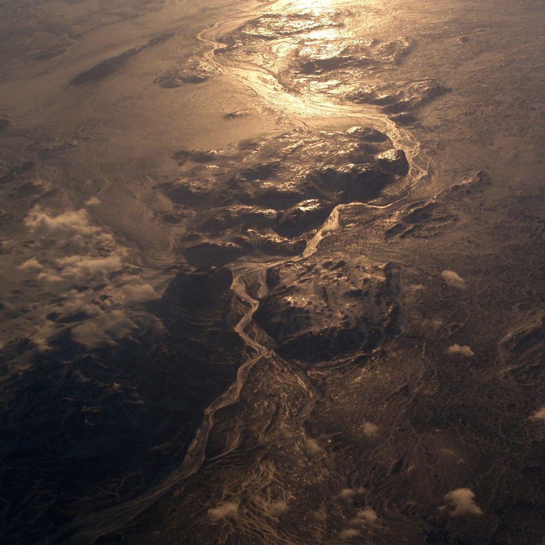 Inland Delta, Vinyl