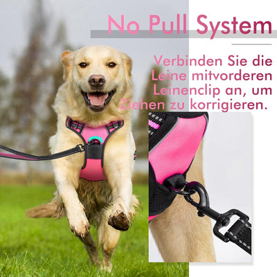 rabbitgoo Hundegeschirr Mittelgrosse Hunde Anti Zug Geschirr Hund mit Kontrolle No Pull Verstellbar