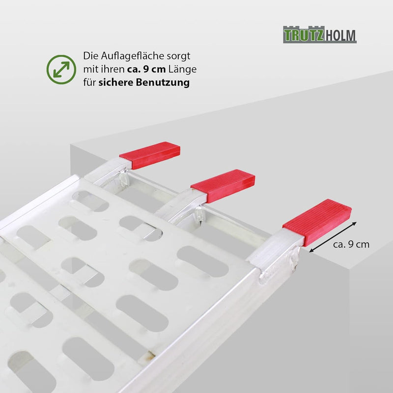 TRUTZHOLM 2 x Auffahrrampe klappbar 228 cm Traglast 680 kg Alu grau gelocht Motorradrampe 2x Rampe S