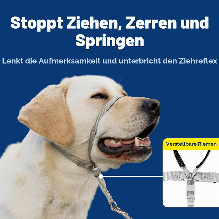 PetSafe Sanfter Führer Halsband mit Trainings-DVD schwarz Medium, schwarz Medium