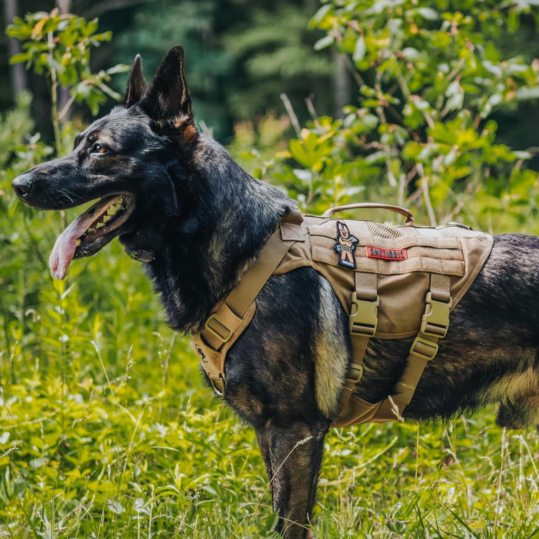 OneTigris No-Pull Hundegeschirr, AIRE MESH Einstellbar Sicherheitsgeschirr Ultra Atmungsaktiv für Gr