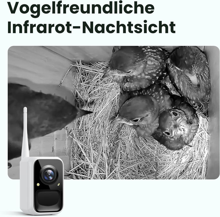 Birdfy Vogelhaus mit Kamera Solar, 1080P FHD Live-View, Echtzeitbeobachtung des Nestbaus und der Bru