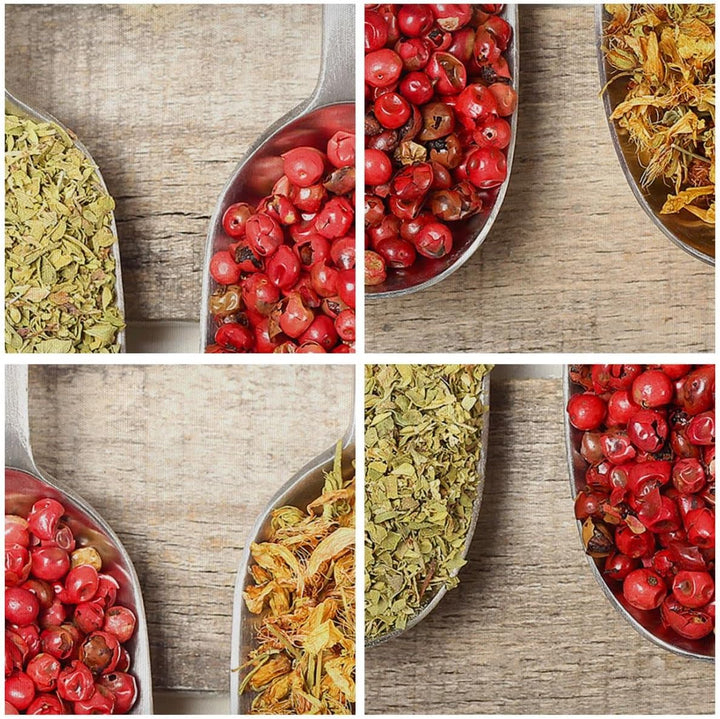 Bilder auf Leinwand Samen Kräuter Gewürze Gewürze Leinwandbild 70x50cm Wandbilder Dekoration Wohnzim