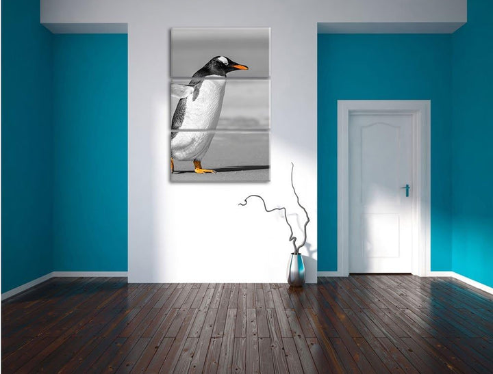 watschelnder Pinguin am Strand schwarz/weiss 3-Teiler Leinwandbild 120x80 Bild auf Leinwand