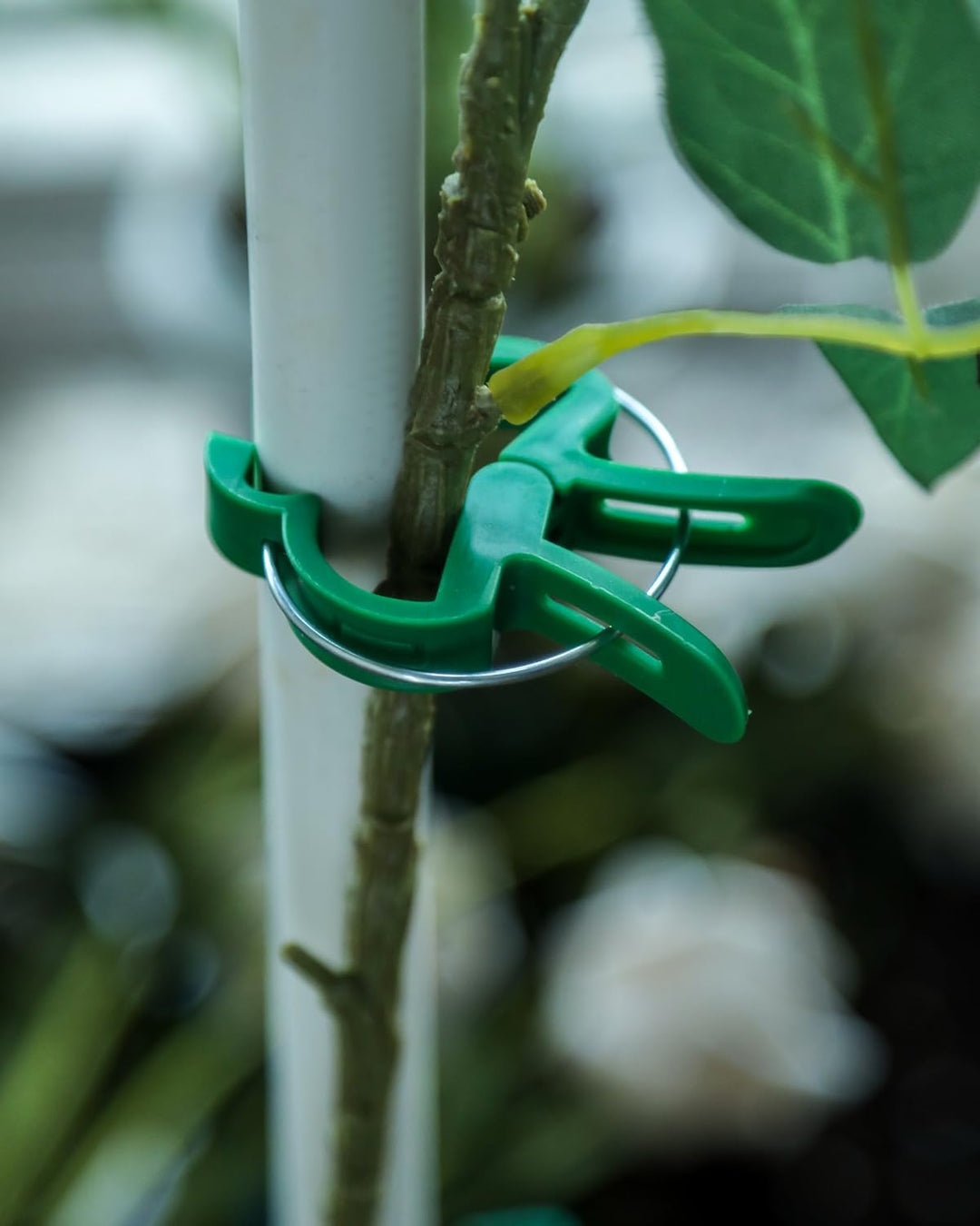 80 Pflanzenclips Pflanzenklammern für Rankhilfe Tomaten, Rosen, Gurken und andere Rankpflanzen – Bes