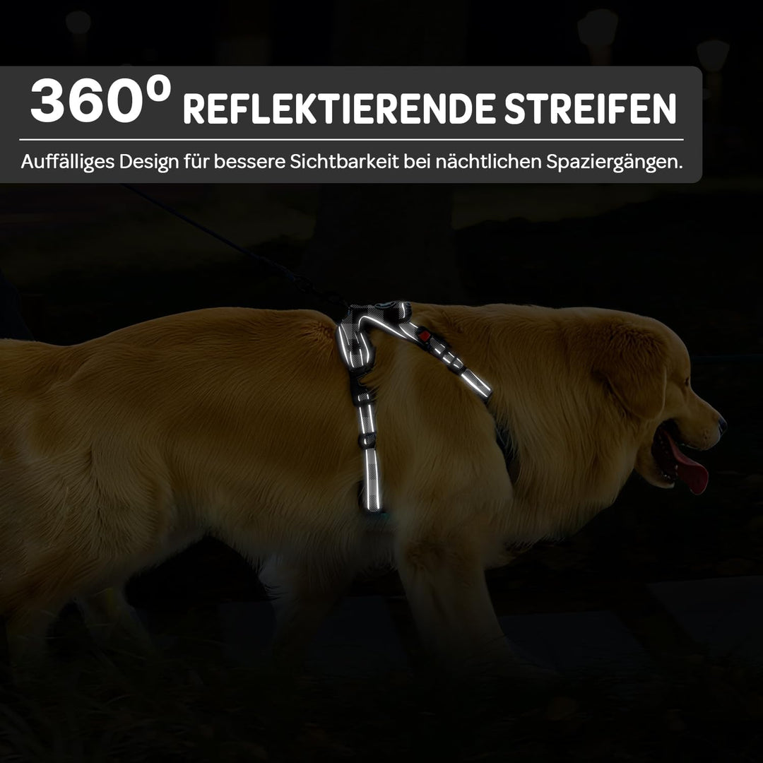 Furryfection Zugfreies Hundegeschirr Reflektierend Plaid Schwarz Grösse S | Strapazierfähiges Oxford