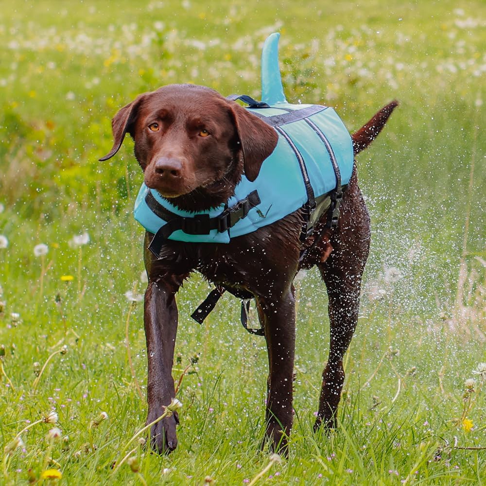 Nobby Hunde Schwimmweste Sharky - verstellbare Brust- und Bauchgurte - Schwimmhilfe - Rettungsweste