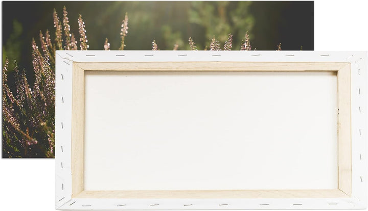 blühende Gräser Panorama 60x30 cm als Leinwandbild, Motiv fertig gerahmt auf Echtholzrahmen, Hochwer