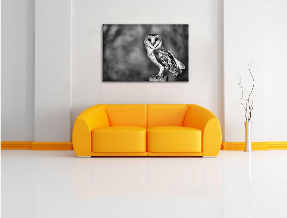 Monocrome, Eule, Format: 100x70 auf Leinwand, XXL riesige Bilder fertig gerahmt mit Keilrahmen, Kuns