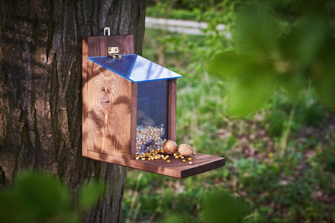 Eichhörnchen Futterhaus aus Holz – Wetterfestes Futterstation für Eichhörnchen mit Acrylglas-Dach –