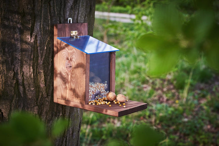 Eichhörnchen Futterhaus aus Holz – Wetterfestes Futterstation für Eichhörnchen mit Acrylglas-Dach –
