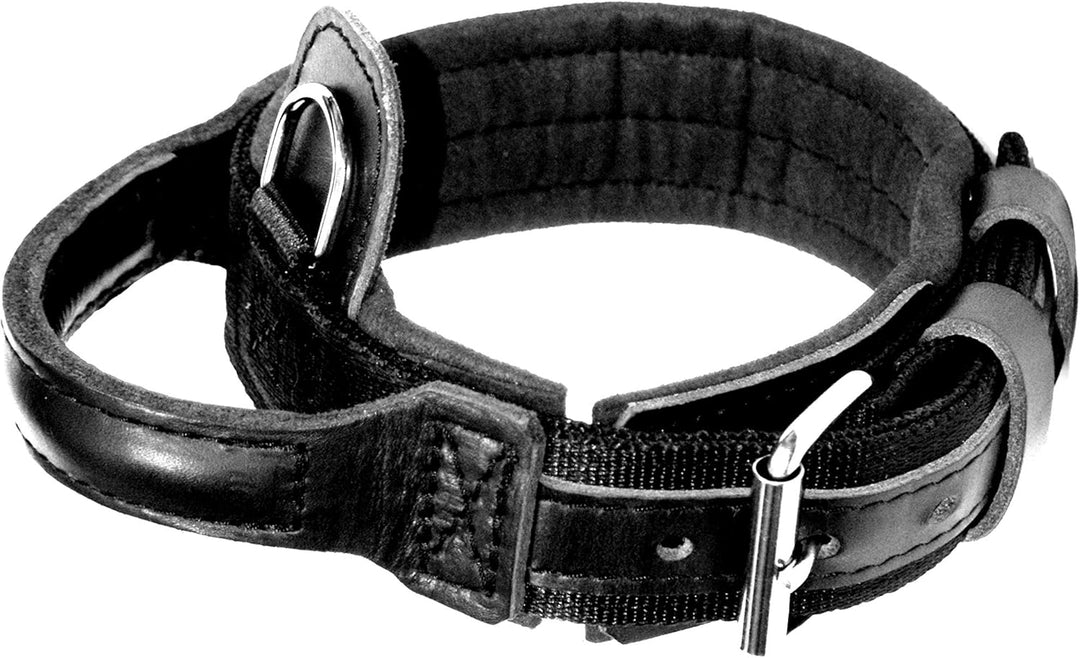 Dingo Gear Halsband für Hund &