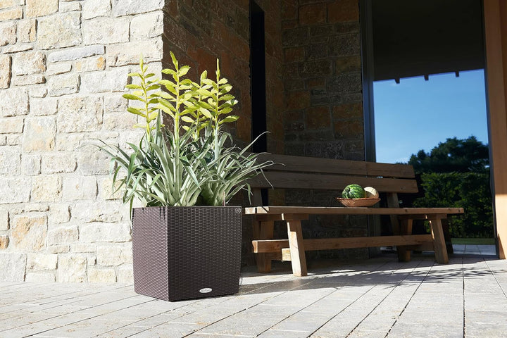 LECHUZA CUBE Cottage 40 mokka 15385 Pflanzgefäss mit Erd-Bewässerungs-System 39x39x40 cm Mokka, Pfla