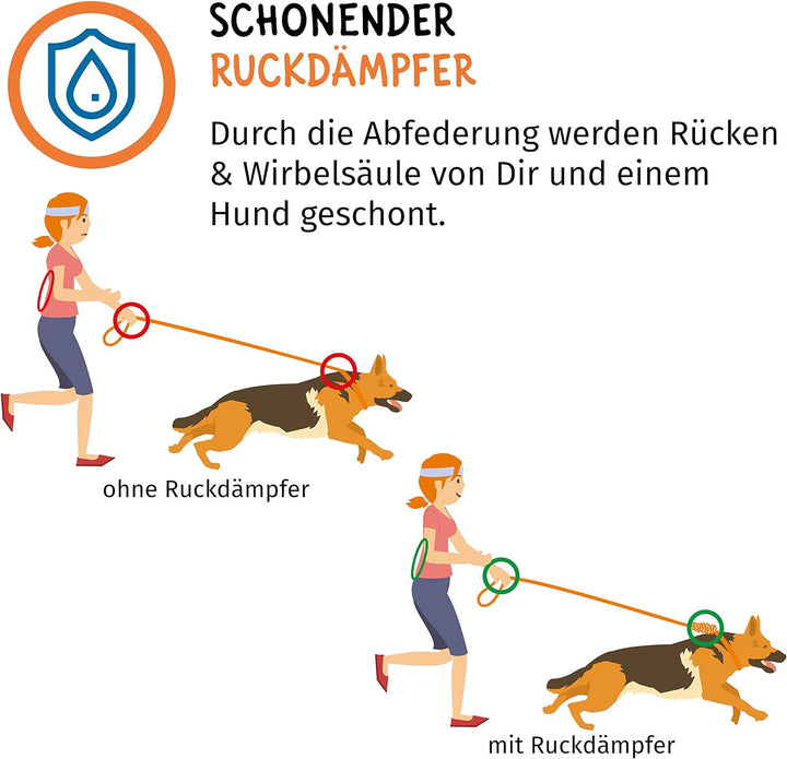 Floxik Ruckdämpfer Hund gross | stark | Elastische, robuste Leinenverlängerung für Jede Hundeleine -