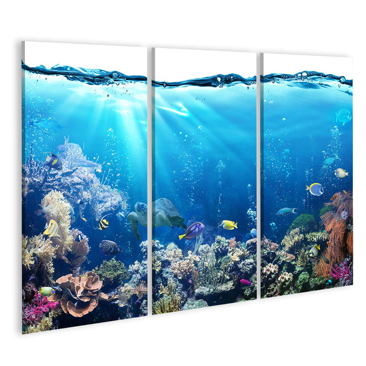 islandburner Bild auf Leinwand Unterwasser Szene Riff Und Tropischen Fischen Aquarium Bilder Wandbil