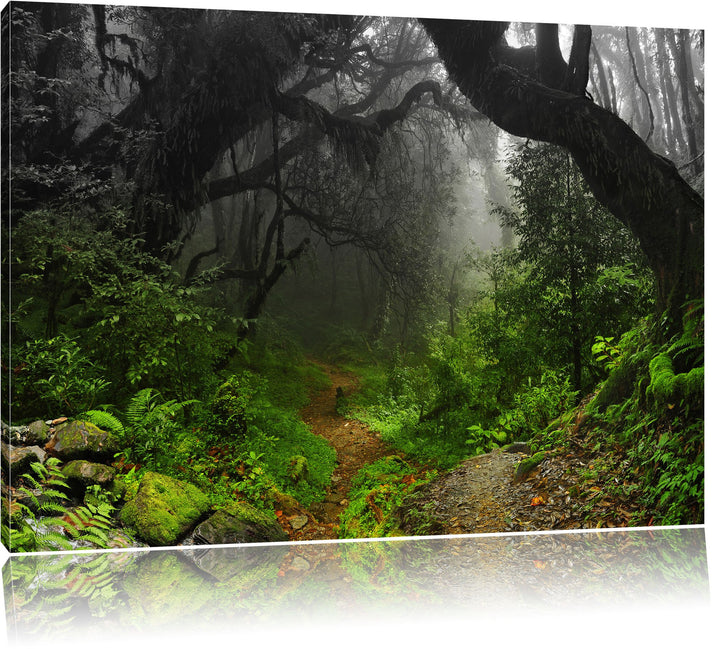 Pixxprint Mystischer Regenwald Schwarz/Weiss, Format: 100x70 auf Leinwand, riesige Bilder fertig ger