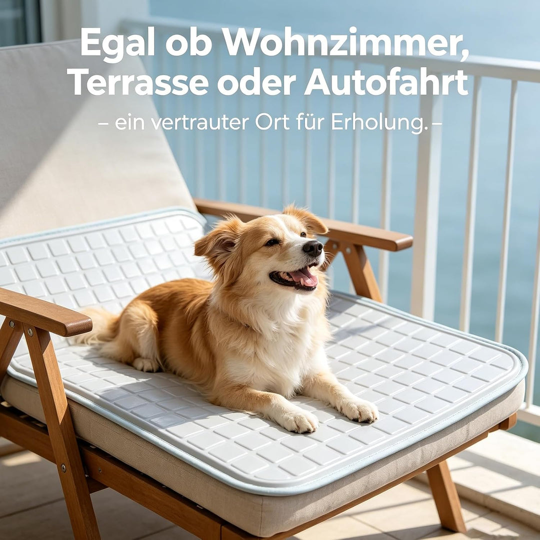 Kühlmatte für Hunde selbstkühlend M 50 x 65 cm | 100% ungiftiges ThermoSchutz Gel, für alle Grössen