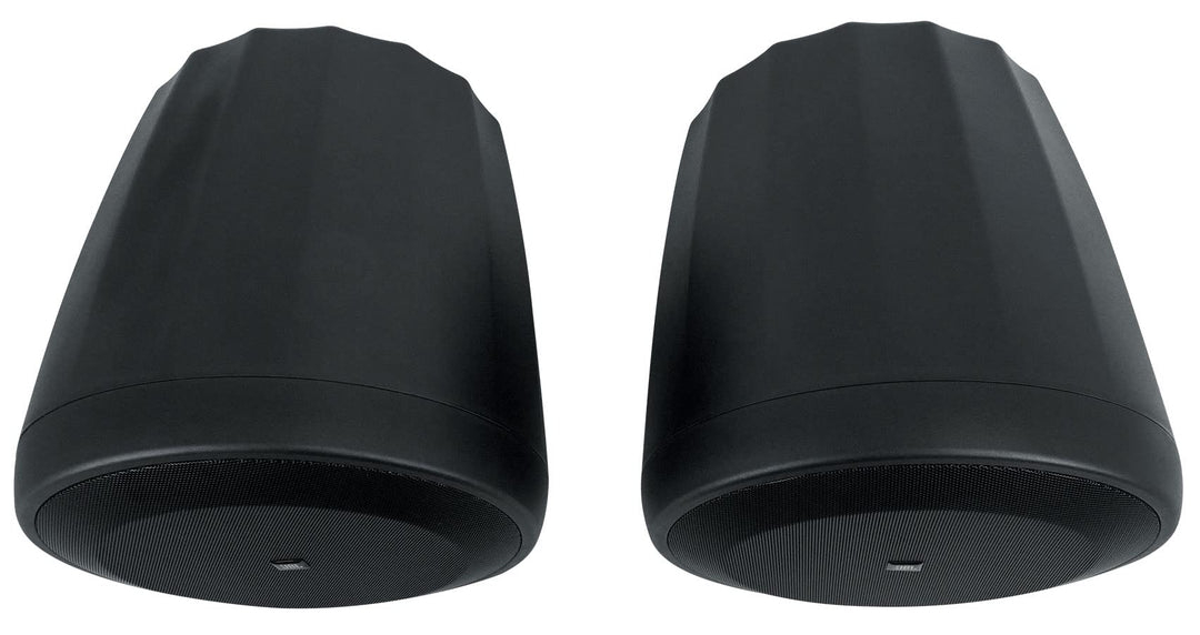 JBL Professioneller C60PS/T Hängender Subwoofer mit passiver Frequenzweiche, schwarz, paarweise Schw