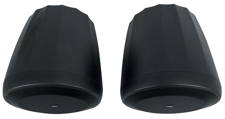 JBL Professioneller C60PS/T Hängender Subwoofer mit passiver Frequenzweiche, schwarz, paarweise Schw