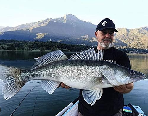 Major Fish Zander Tactical Box 36- teilig Gummifische mit Jigköpfe Wobbler + Raubfisch Zubehör