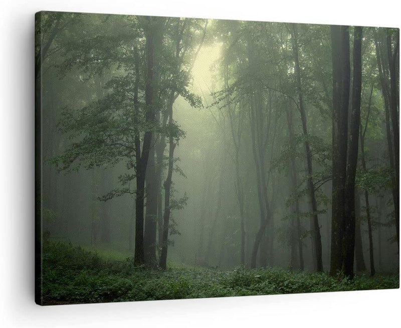 Bilder auf Leinwand Wald Nebel Baum Leinwandbild mit Rahmen 70x50cm Wandbilder Dekoration Wohnzimmer