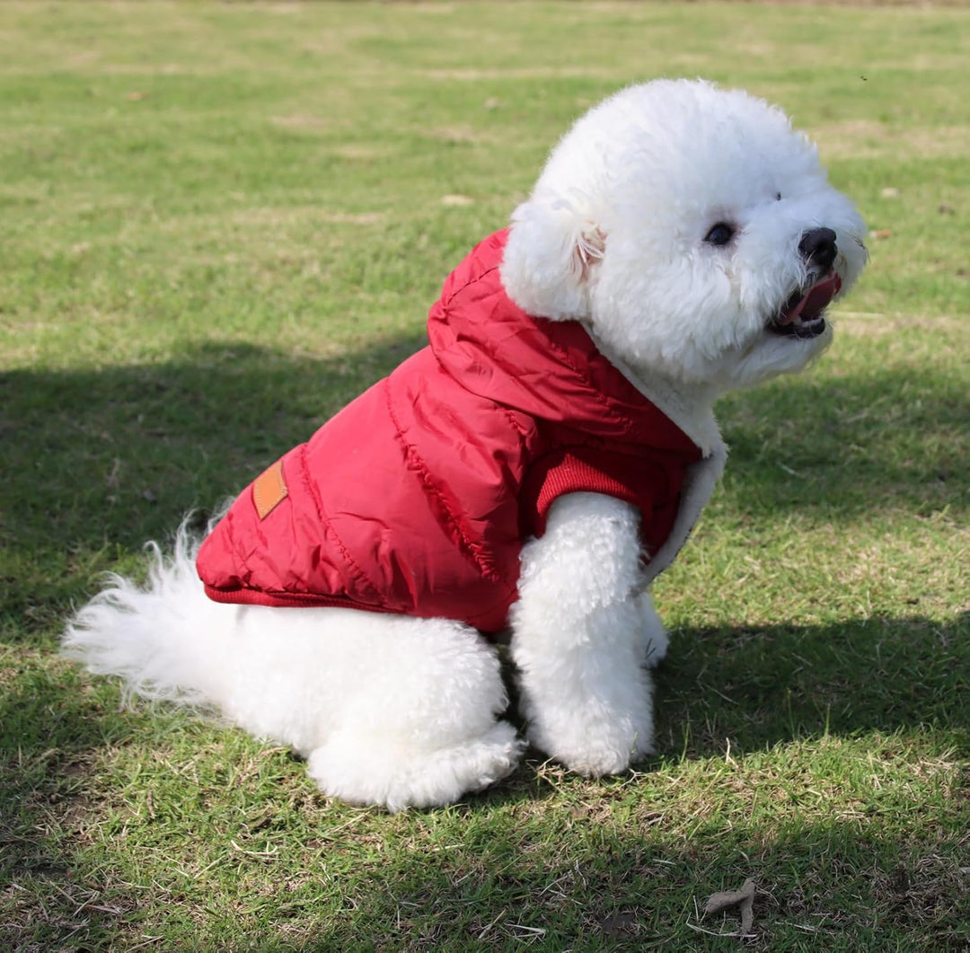 Warmes Fleece Hund Hoodie im Winter, kleine Hundejacke Hundemäntel mit Kapuze (Rot M) Medium (Pack o