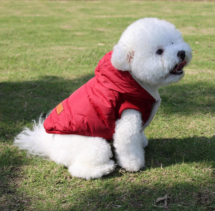 Warmes Fleece Hund Hoodie im Winter, kleine Hundejacke Hundemäntel mit Kapuze (Rot M) Medium (Pack o