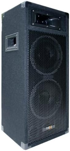 E-Lektron 500W DJ Party Lautsprecher Box doppel 8" Bass PW220