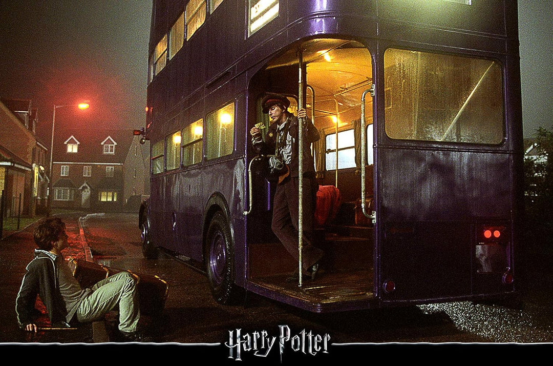 Harry Potter: The Complete Collection - Jubiläums-Edition [Blu-ray]