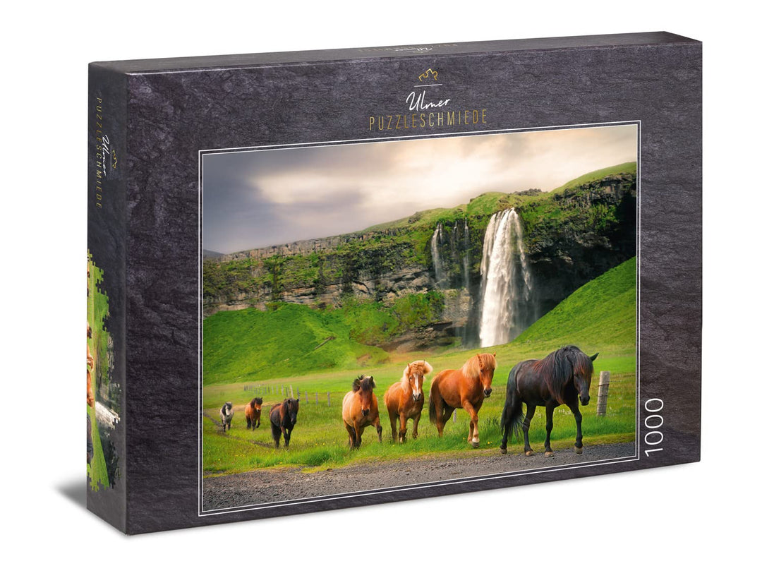 Ulmer Puzzleschmiede - Puzzle „Isländer“ - Klassisches 1000 Teile Puzzle Pferde &amp; Landschaft - Herde