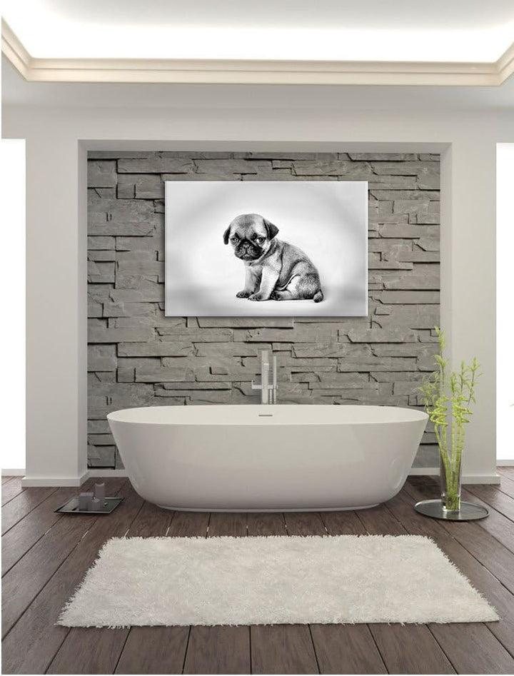 Pixxprint Kleiner Hundewelpe Mops als Leinwandbild/Grösse: 100x70 cm/Wandbild/Kunstdruck/fertig besp