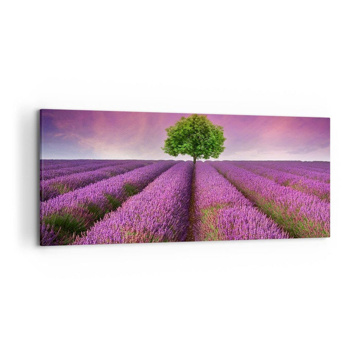 Wandbilder Dekoration Wohnzimmer Wiese lavenda Sommer Landschaft Panorama Bilder auf Leinwand 120x50